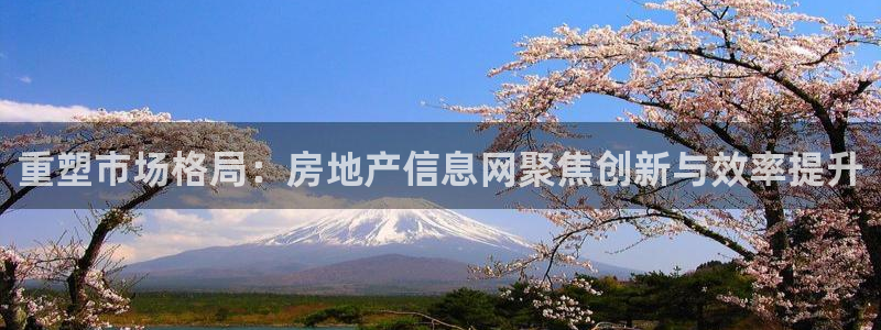 新宝5策略：重塑市场格局：房地产信息网聚焦创新与效率提升