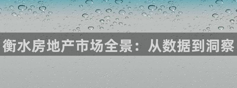 新宝5球维33 300：衡水房地产市场全景：从数据到洞察