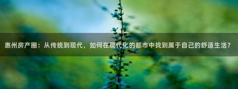 新宝5后：惠州房产圈：从传统到现代，如何在现代化的都市中找到