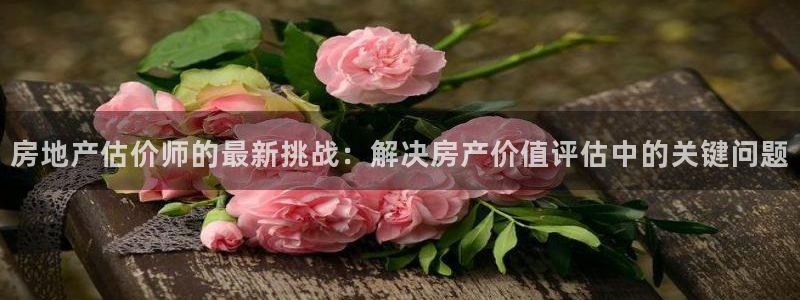 新宝5 代理：房地产估价师的最新挑战：解决房产价值评估中的关
