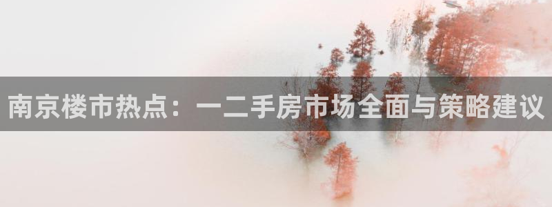 新宝5网站：南京楼市热点：一二手房市场全面与策略建议