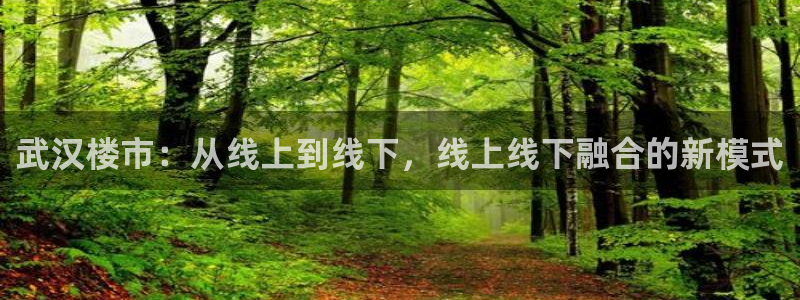 新宝5线路登录检测：武汉楼市：从线上到线下，线上线下融合的新