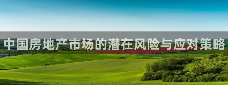 新宝5平台霸：中国房地产市场的潜在风险与应对策略