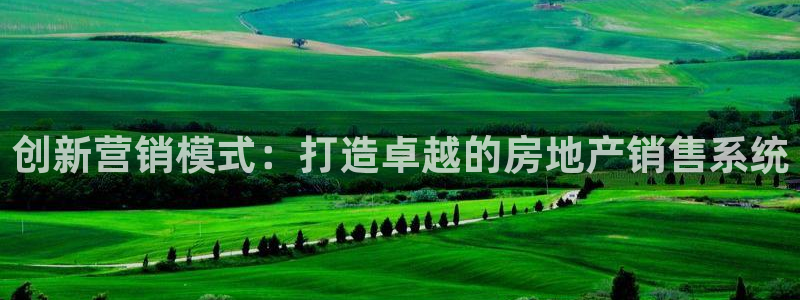 新宝5如何注册登录：创新营销模式：打造卓越的房地产销售系统