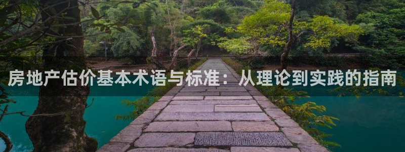 新宝b2O5O5O：房地产估价基本术语与标准：从理论到实践的