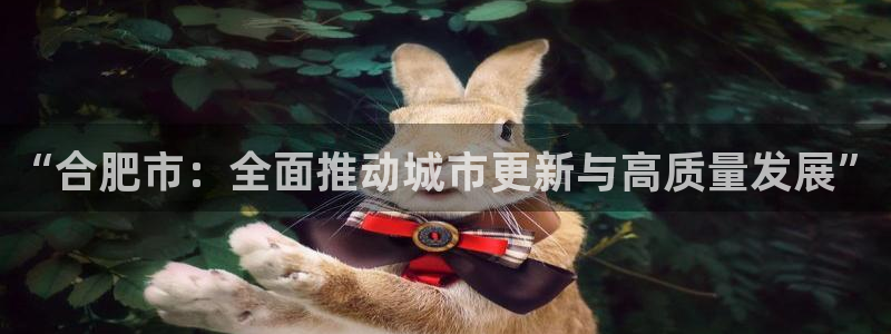 新宝5娱乐都：“合肥市：全面推动城市更新与高质量发展”