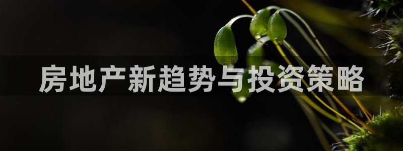 新宝5平台登录下载软件：房地产新趋势与投资策略