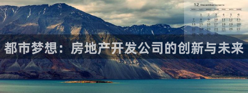 新宝5 唯一：都市梦想：房地产开发公司的创新与未来