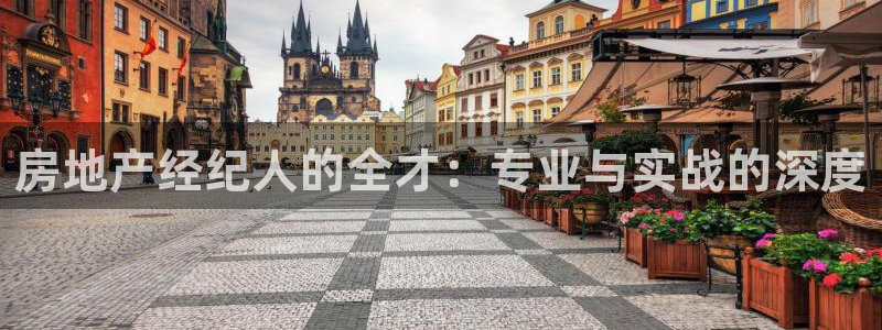 新宝5开户：房地产经纪人的全才：专业与实战的深度