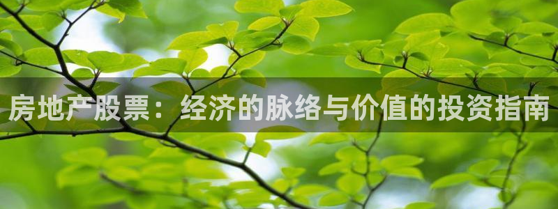 新宝5平台霸