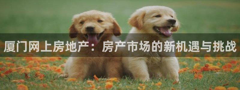 新宝5娱乐家：厦门网上房地产：房产市场的新机遇与挑战