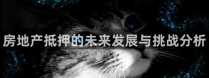 新宝5公司：房地产抵押的未来发展与挑战分析