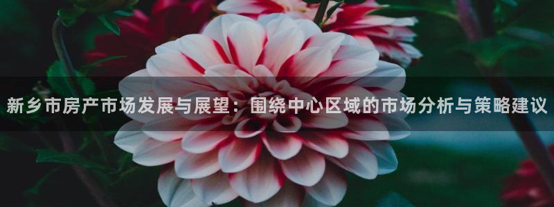 新宝5登录：新乡市房产市场发展与展望：围绕中心区域的市场分析