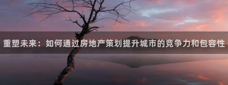 新宝5系列：重塑未来：如何通过房地产策划提升城市的竞争力和包