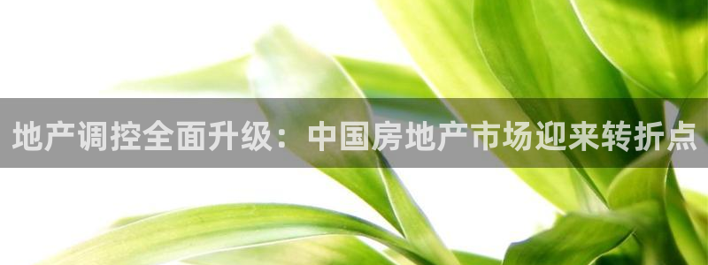 新宝5如何下载：地产调控全面升级：中国房地产市场迎来转折点