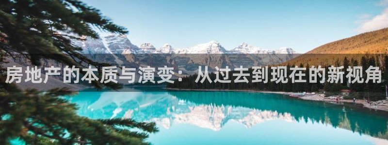 新宝5测速在线：房地产的本质与演变：从过去到现在的新视角