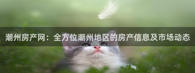 新宝5客户端登录：潮州房产网：全方位潮州地区的房产信息及市场