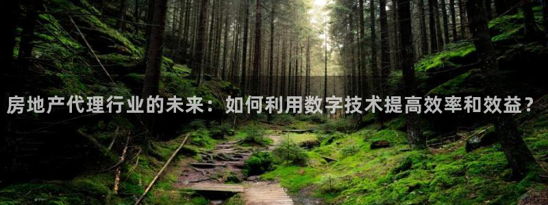 新宝5电脑：房地产代理行业的未来：如何利用数字技术提高效率和