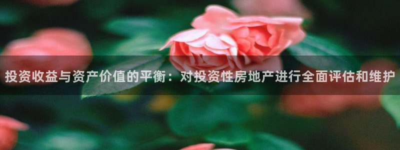 新宝5-：投资收益与资产价值的平衡：对投资性房地产进行全面评