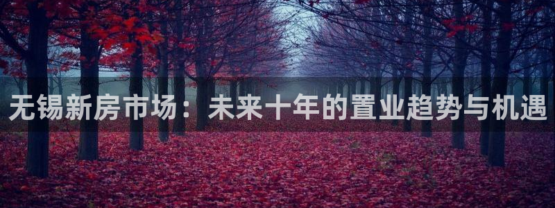 新宝5手机app：无锡新房市场：未来十年的置业趋势与机遇
