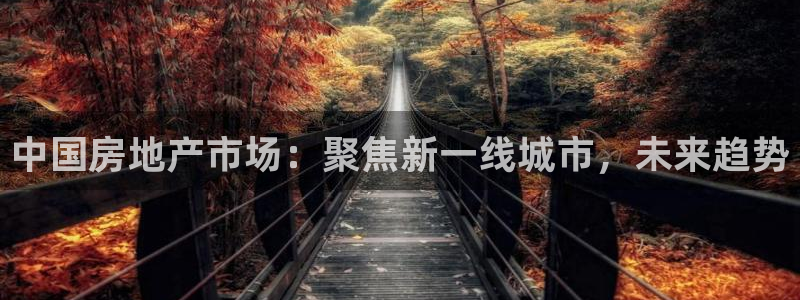 新宝5官方登录入口：中国房地产市场：聚焦新一线城市，未来趋势