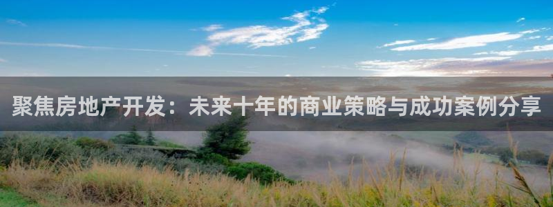 新宝5登录测速中心：聚焦房地产开发：未来十年的商业策略与成功