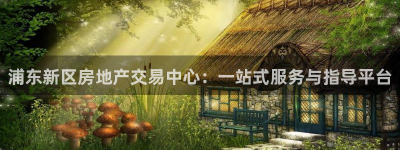 新宝5黑：浦东新区房地产交易中心：一站式服务与指导平台