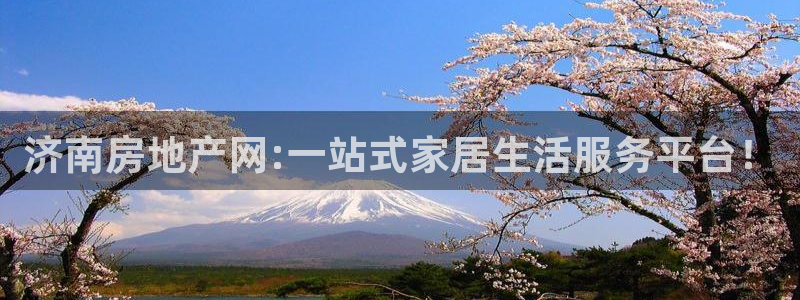 新宝5官网：济南房地产网:一站式家居生活服务平台！