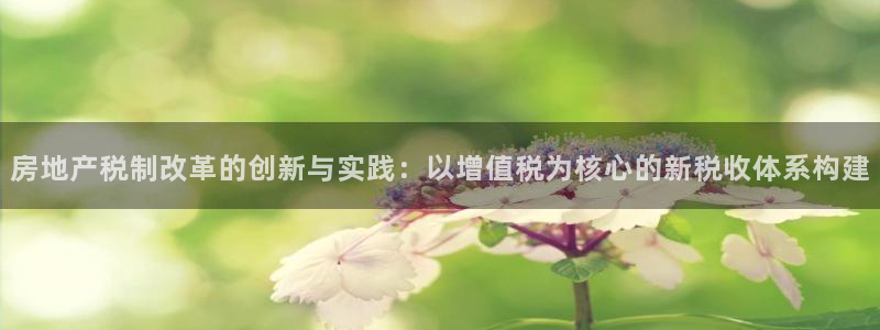 新宝5下载软件：房地产税制改革的创新与实践：以增值税为核心的