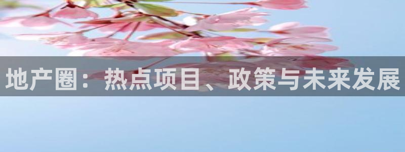 新宝5娱乐登陆：地产圈：热点项目、政策与未来发展