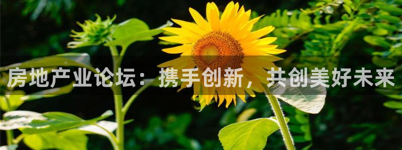 新宝5注册首页：房地产业论坛：携手创新，共创美好未来