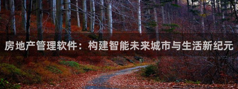 新宝 5测速：房地产管理软件：构建智能未来城市与生活新纪元