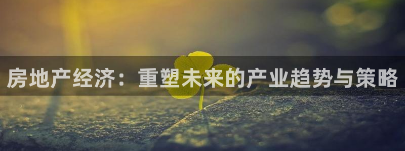 新宝5吕74OOO5：房地产经济：重塑未来的产业趋势与策略