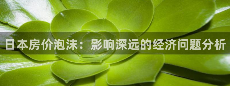 新宝5平台咋样：日本房价泡沫：影响深远的经济问题分析