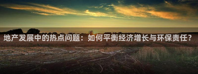 新宝5手机app：地产发展中的热点问题：如何平衡经济增长与环
