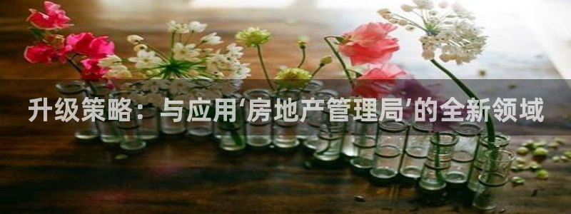 新宝5登录不了：升级策略：与应用‘房地产管理局’的全新领域