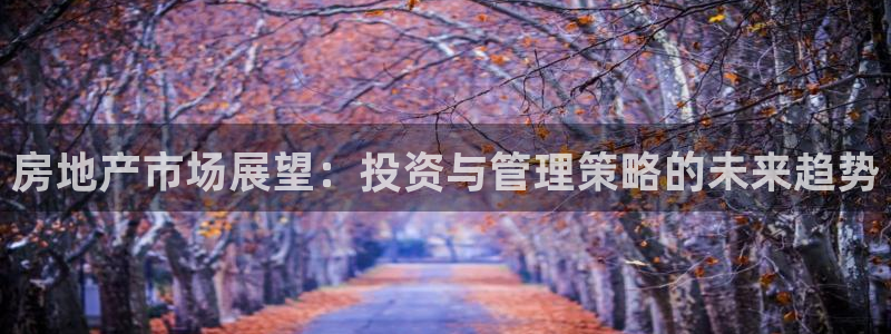 新宝5可靠吗：房地产市场展望：投资与管理策略的未来趋势