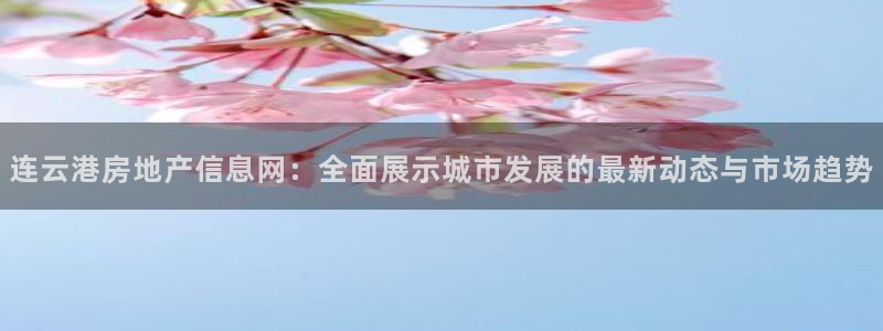 新宝5登陆地址：连云港房地产信息网：全面展示城市发展的最新动