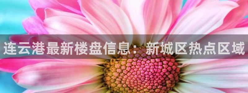 新宝5测速登陆：连云港最新楼盘信息：新城区热点区域
