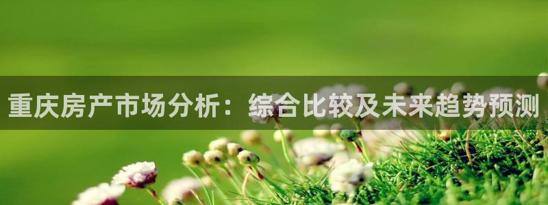 新宝b2O5O5O：重庆房产市场分析：综合比较及未来趋势预测