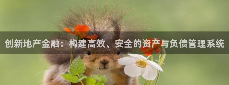 新宝5app：创新地产金融：构建高效、安全的资产与负债管理系