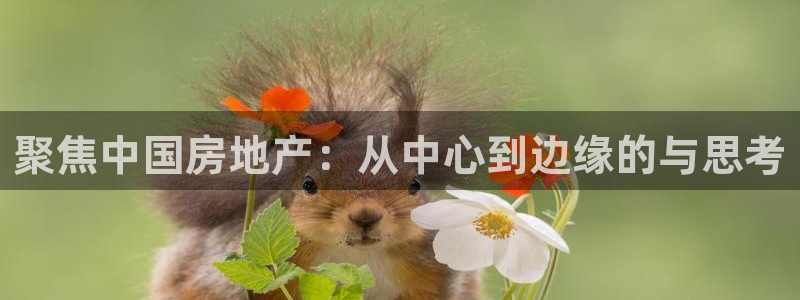新宝5测速登录：聚焦中国房地产：从中心到边缘的与思考