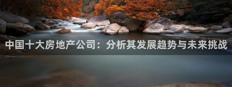 5新宝：中国十大房地产公司：分析其发展趋势与未来挑战