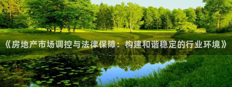新宝h2O5O5O：《房地产市场调控与法律保障：构建和谐稳定