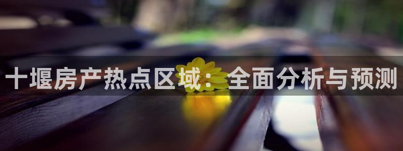 新宝5是什么：十堰房产热点区域：全面分析与预测