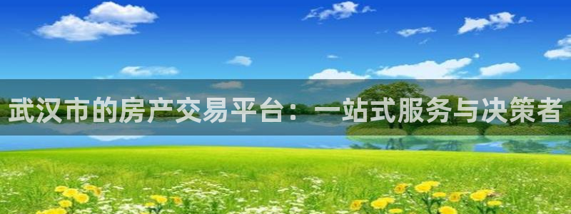 新宝5账号注册：武汉市的房产交易平台：一站式服务与决策者
