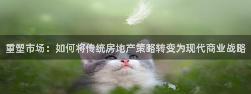 新宝5线路登录：重塑市场：如何将传统房地产策略转变为现代商业