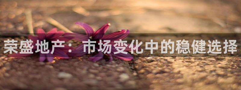 新宝5尤74OOO5：荣盛地产：市场变化中的稳健选择