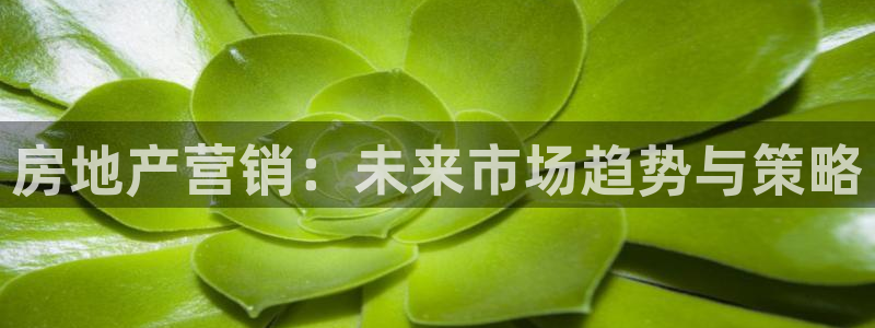 新宝5官方：房地产营销：未来市场趋势与策略