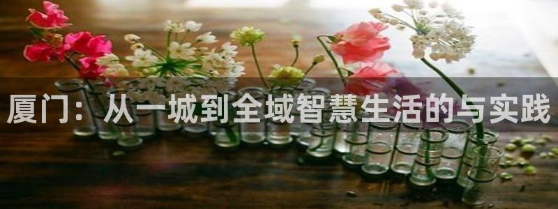新宝5下载 迅雷下载：厦门：从一城到全域智慧生活的与实践